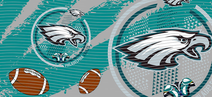 16oz team-NFL 2975